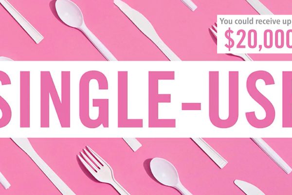 Single Use Plastic Challenge