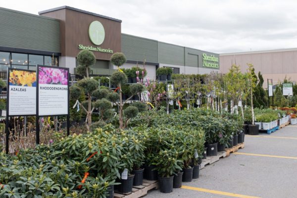Sheridan Nurseries