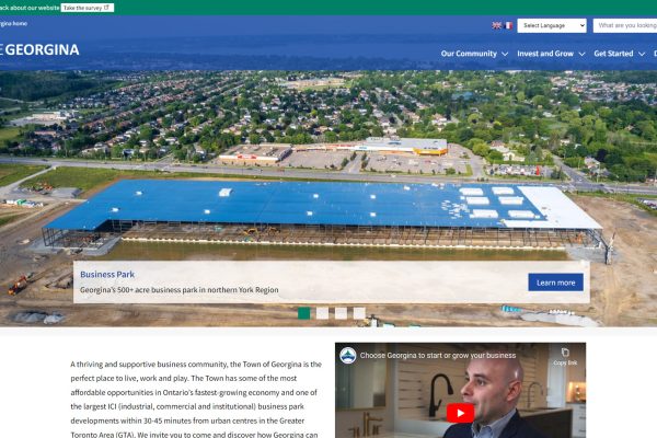 Choose Georgina Website