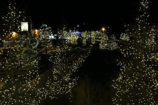 holiday lit tree lined Riverwalk Commons walking trail at night