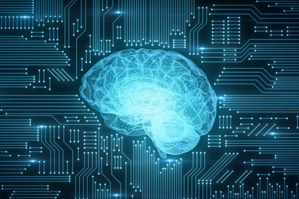 Blue Brain Circuit Board