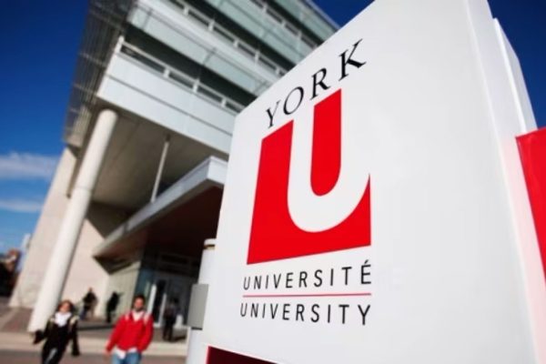 York University