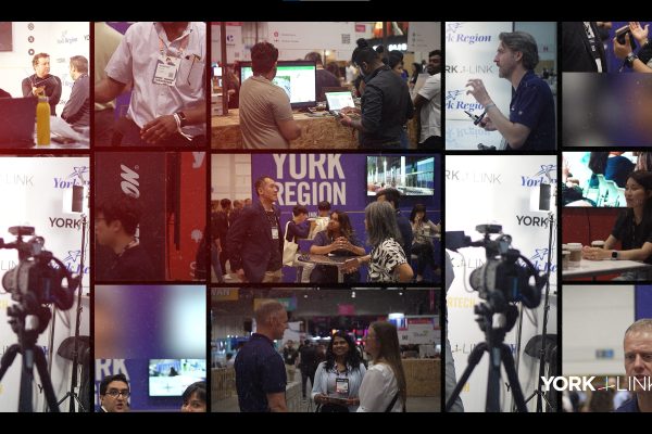 York Region Collision Collage