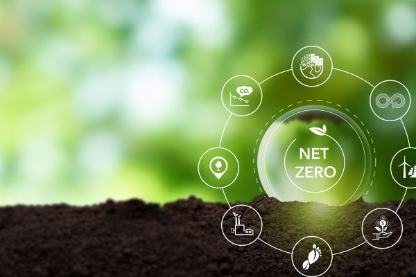 Net Zero