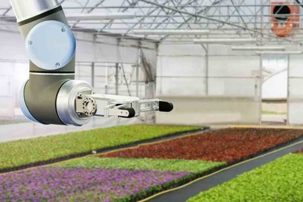 A robot with crops in the background
