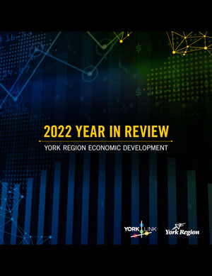 2022 Year in Review
