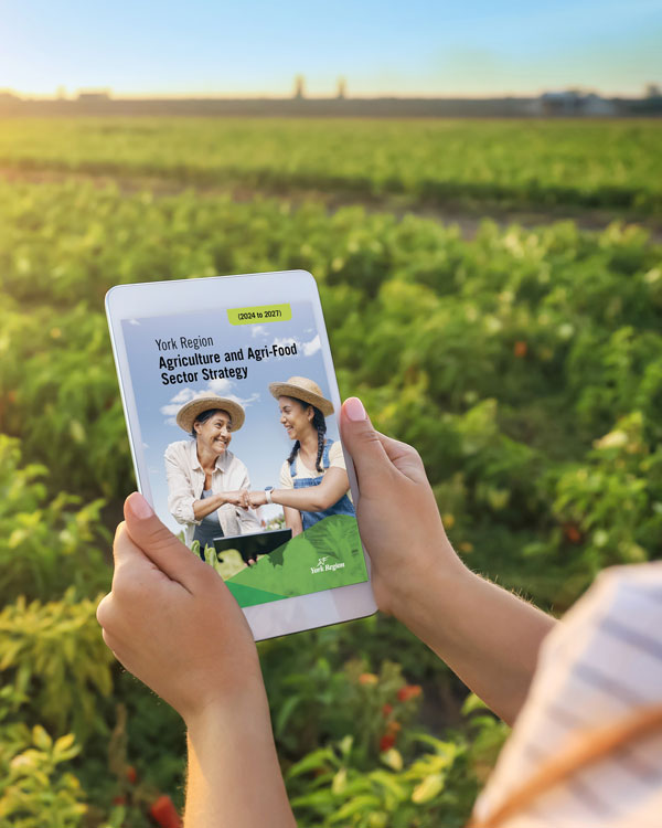 Agri-Food Strategy on an iPad