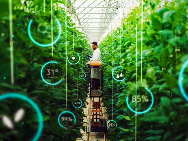 Agri-Tech Greenhouse