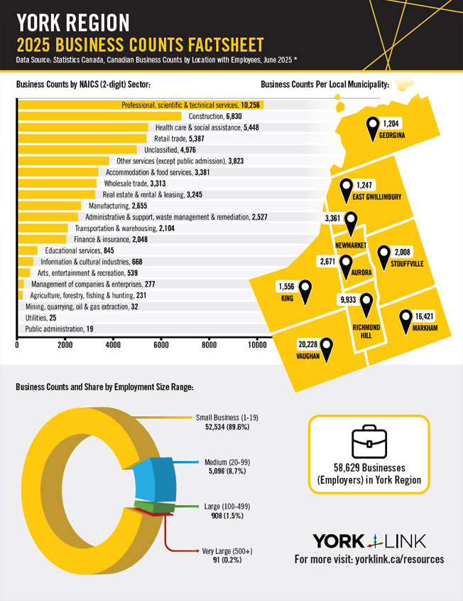 2025 York Region Business Counts Factsheet thumbnail