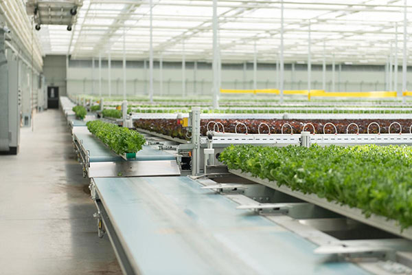 Haven Greens Facility
