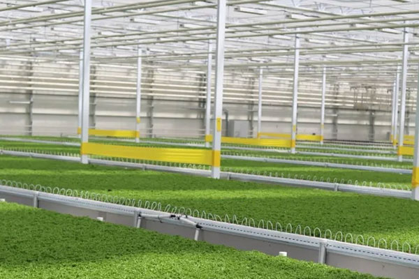 Haven Greens Solar